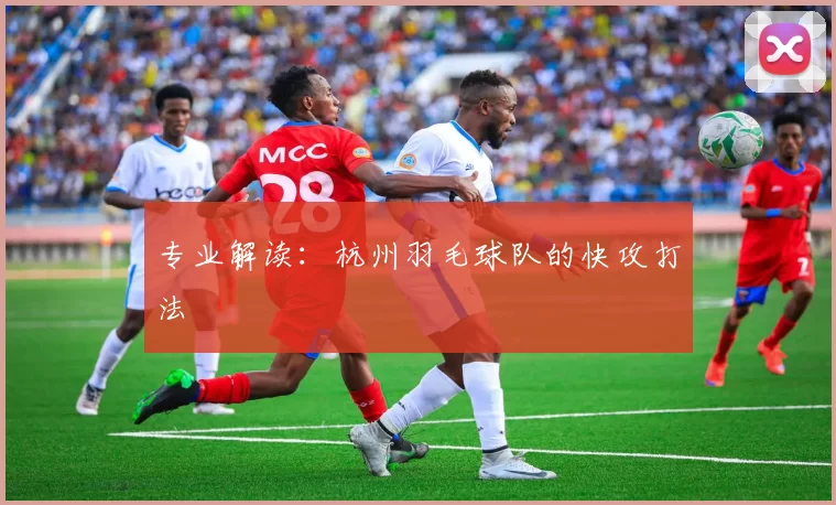专业解读：杭州羽毛球队的快攻打法