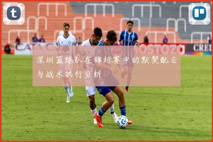 深圳篮球队在锦标赛中的默契配合与战术执行分析