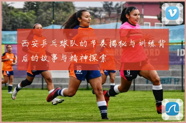 西安乒乓球队的节奏揭秘与训练背后的故事与精神探索