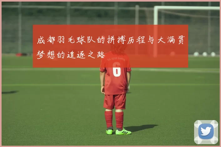 成都羽毛球队的拼搏历程与大满贯梦想的追逐之路