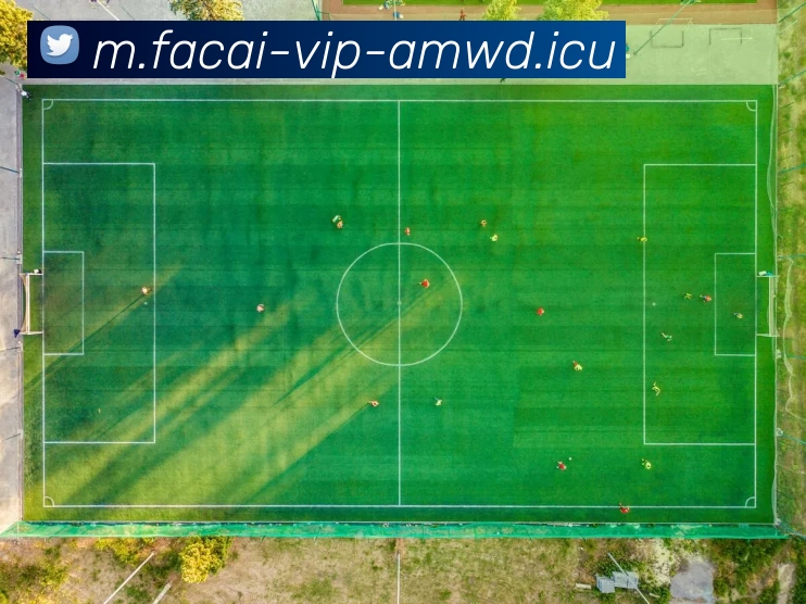 乐鱼体育平台生态图