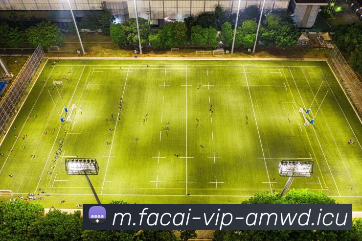 乐鱼体育APP 封面图